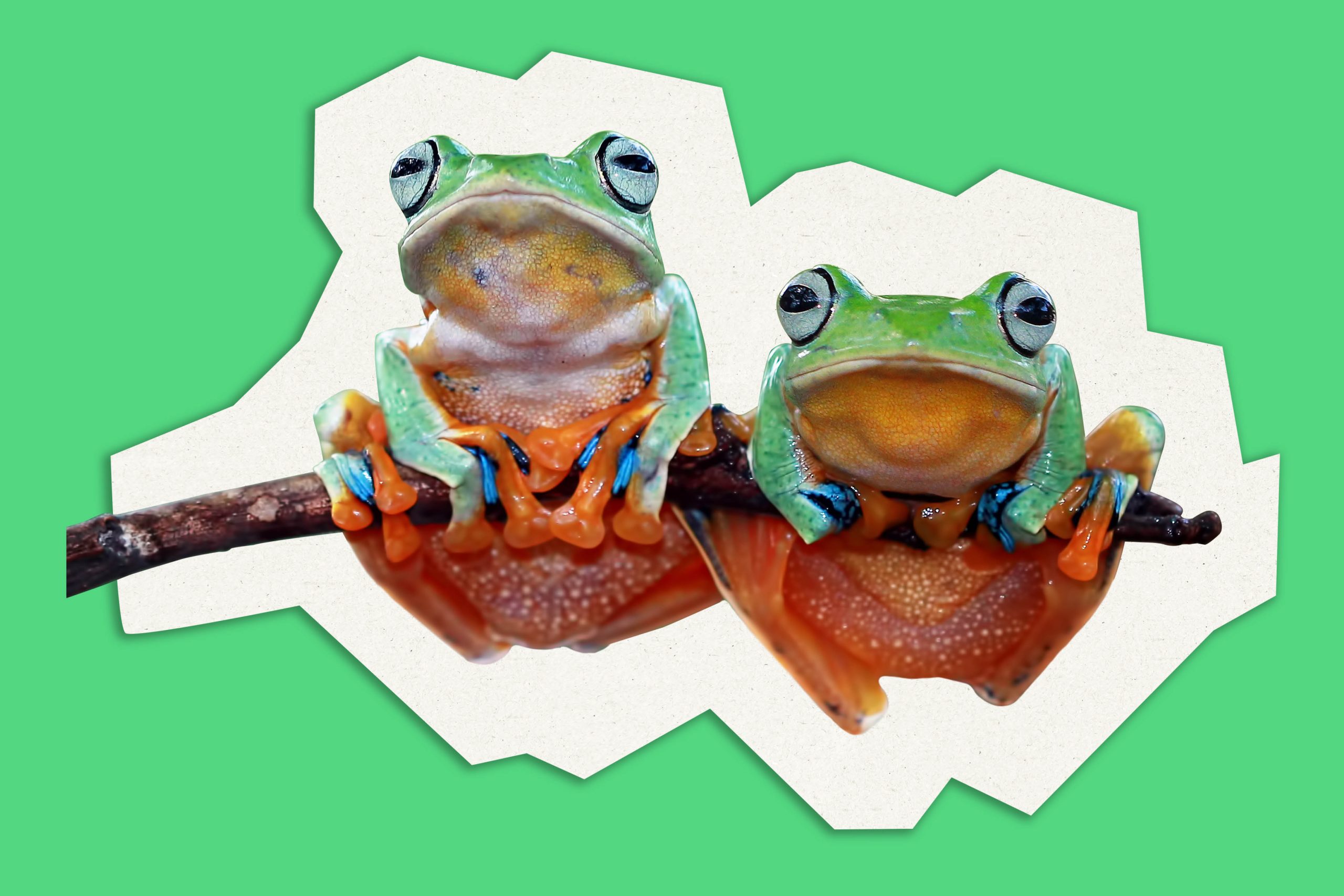 Room Aud Website Header