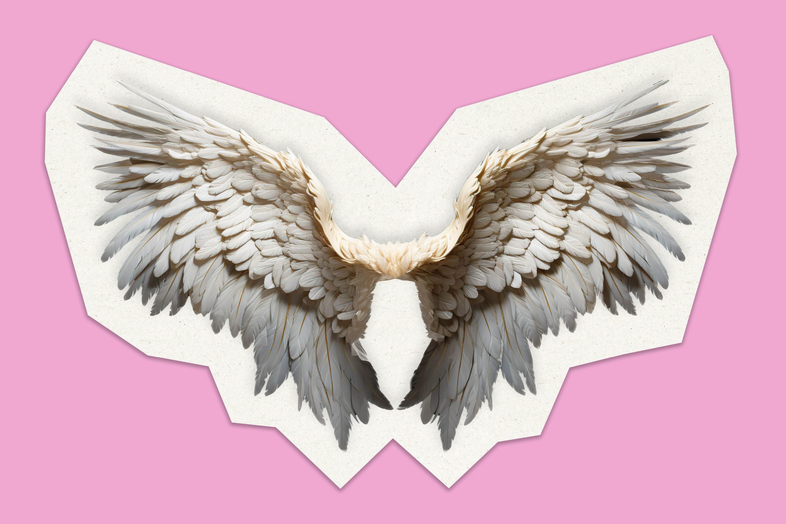 Room Aud Website Header